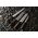 Suncraft Nóż kuchenny Suncraft SENZO BLACK Bread 220 mm [BD-06] uniwersalny