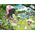Ravensburger Ravensburger - Puzzle Pokmon Wild 300 elementów XXL, 13245
