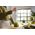 Blender Philips HR2531