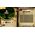 Bravely Default II Nintendo Switch
