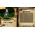 Bravely Default II Nintendo Switch