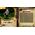 Bravely Default II Nintendo Switch