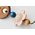 BabyBjorn Zabawka do leżaczka Balance Googly Eyes