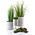 Affek Design Neva Doniczka 13cm x h15,5cm uniwersalny