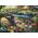 Schmidt Spiele Puzzle PQ 1000 Alicja w Krainie Czarów G3