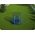 Trampolina ogrodowa Neo-Sport NS-04Z200F z siatką zewnętrzną 4.5 FT 140 cm