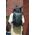 Plecak Peak Design Plecak PEAK DESIGN Everyday Backpack 15L Zip - Czarny - EDLv2