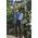 Plecak Peak Design Plecak PEAK DESIGN Everyday Backpack 20L Zip - Popielaty - EDLv2