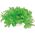 Happet HAPPET ROŚLINA FOLIA 10CM / 1F22