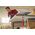 Bessey Bessey All-Steel table clamp GTR 120/60