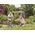 Gardena Rękawice ogrodnicze ogrodowe ochronne oddychające L Gardena 1712