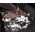 Frogum Dywaniki samochodowe FROGUM PRO-LINE 3D407046 (gumowe)