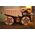 EcoWoodArt EWA Drewniane Puzzle 3D Mini Belaz