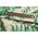 Basil Torba tylna Basil Ever-Green Daypack 18 L