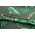 Basil Torba tylna Basil Ever-Green Daypack 18 L