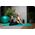 Neo-Sport Mata treningowa NS-923 183 cm x 60 cm x 1.5 cm zielona