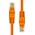 ProXtend ProXtend U/UTP CAT5e PVC AWG 26 CCA Orange 0.5M