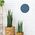 TFA TFA 60.3054.06 Analogue Wall Clock pigeon blue