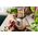 Blender kielichowy Philips HR2604/80
