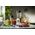 Blender kielichowy Philips HR2604/80