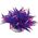 Happet Roślina folia 10cm 1f25 Happet