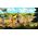 Asterix & Obelix: Slap them All! Limited Edition Nintendo Switch