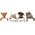 Chaba CH SZELKI GUARD XL (P)45-85 (T)65-95X2,5CM FUKSJA 5085
