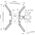 Neomounts Uchwyt ścienny WL40-540BL14 32'' - 55''