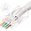 Lanview RJ45 UTP plug Cat6 for