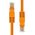 ProXtend ProXtend U/UTP CAT5e PVC AWG 24 CU Orange 0.5M