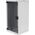 Szafa Digitus Wisząca 10" 12U (DN-10-SET-3)