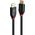 Kabel Lindy DisplayPort - DisplayPort 10m czarny (41169)