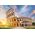 Trefl Puzzle 1000 Koloseum, Rzym, Włochy Unlimited Fit Technology