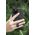 Peak Design Peak Design Mobile Etui Everyday Case Loop iPhone 13 Pro - Grafitowe