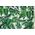 Royokamp  Hamak fotel brazylijski 100 x 50 cm Natura Jungle Light Royokamp