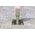 Fischer Ankerinis varztas FBN II 8/30 8x91 mm