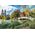 Trefl Puzzle 1500 Uroczy Central Park, Nowy Jork Unlimited Fit Technology
