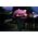 Livall Neo Smart Kask Miejski Bluetooth LED/SOS Roz. M BH51M