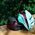 Livall Kask rowerowy EVO21 roz. M (54-58 cm)
