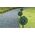 Saska Garden ZESTAW LAMP SOLARNYCH 3 KUL BUKSZPANOWYCH 27LED