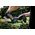 Metabo Metabo HS 18 LTX 55 V solo Cordless Hedgecutter