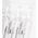 Syis SYIS AMPUŁKI AMINO-COMPLEX 10X3 ML