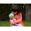 Mattel MY GARDEN BABY BOBAS KOTEK FIOLET HHL22 WB2