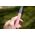 Selfie stick MadMan MadMan Selfie tyč DELUXE BT 100 cm růžová (monopod)