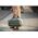 Peak Design Torba Peak Design Travel Duffel 65L Sage  szarozielona