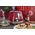 Toster DeLonghi CTOC2103.R