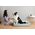 Petkit PETKIT Deep Sleep All Season Pet Bed L Green