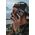 Supcase Etui Supcase Unicorn Beetle Pro do Apple iPhone 13/14 Black