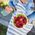 Emsa EMSA Clip&Go Fruit bowl 1,1 L