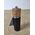 Młynek do przypraw Zassenhaus Zassenhaus salt mill HANNOVER Olive, 18 cm